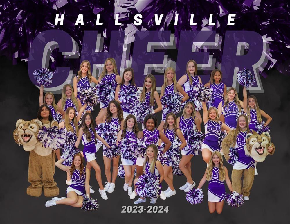 picture of 2022-2023 Hallsville Junior High cheerleaders